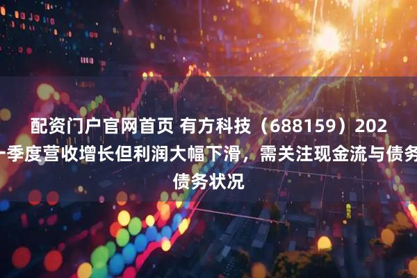配资门户官网首页 有方科技（688159）2025年一季度营收增长但利润大幅下滑，需关注现金流与债务状况