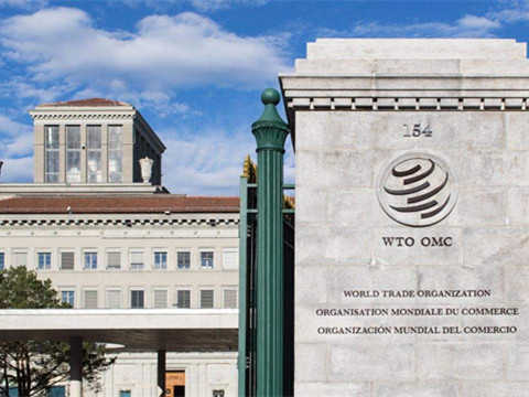 炒股配资平台官网 乌克兰总统办公室主任：本次俄乌谈判不会与三年前关联