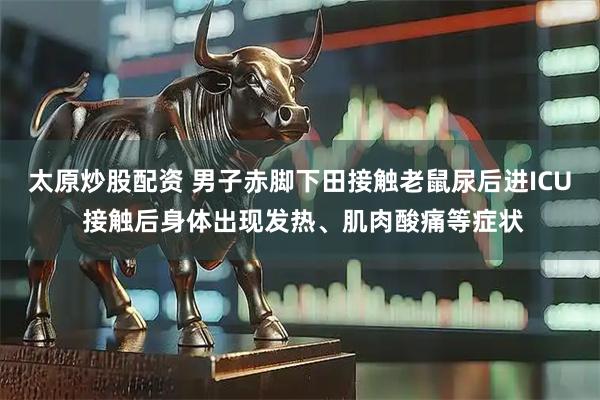太原炒股配资 男子赤脚下田接触老鼠尿后进ICU 接触后身体出现发热、肌肉酸痛等症状